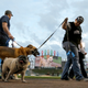 Photo: Charles Rex Arbogast/AP
